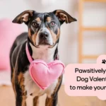 Pawsitively Adorable Dog Valentine Puns to Make Your Heart Wag!