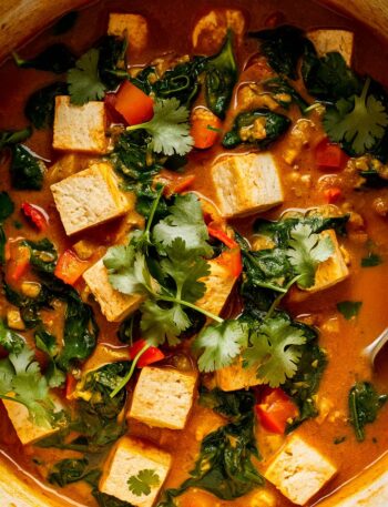 Thai Peanut Curry Tofu