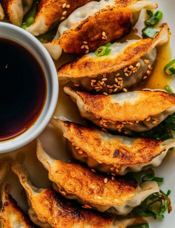 Pork Dumplings